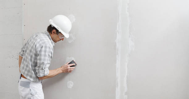 Best Drywall Sanding and Smoothing  in St Anne, IL